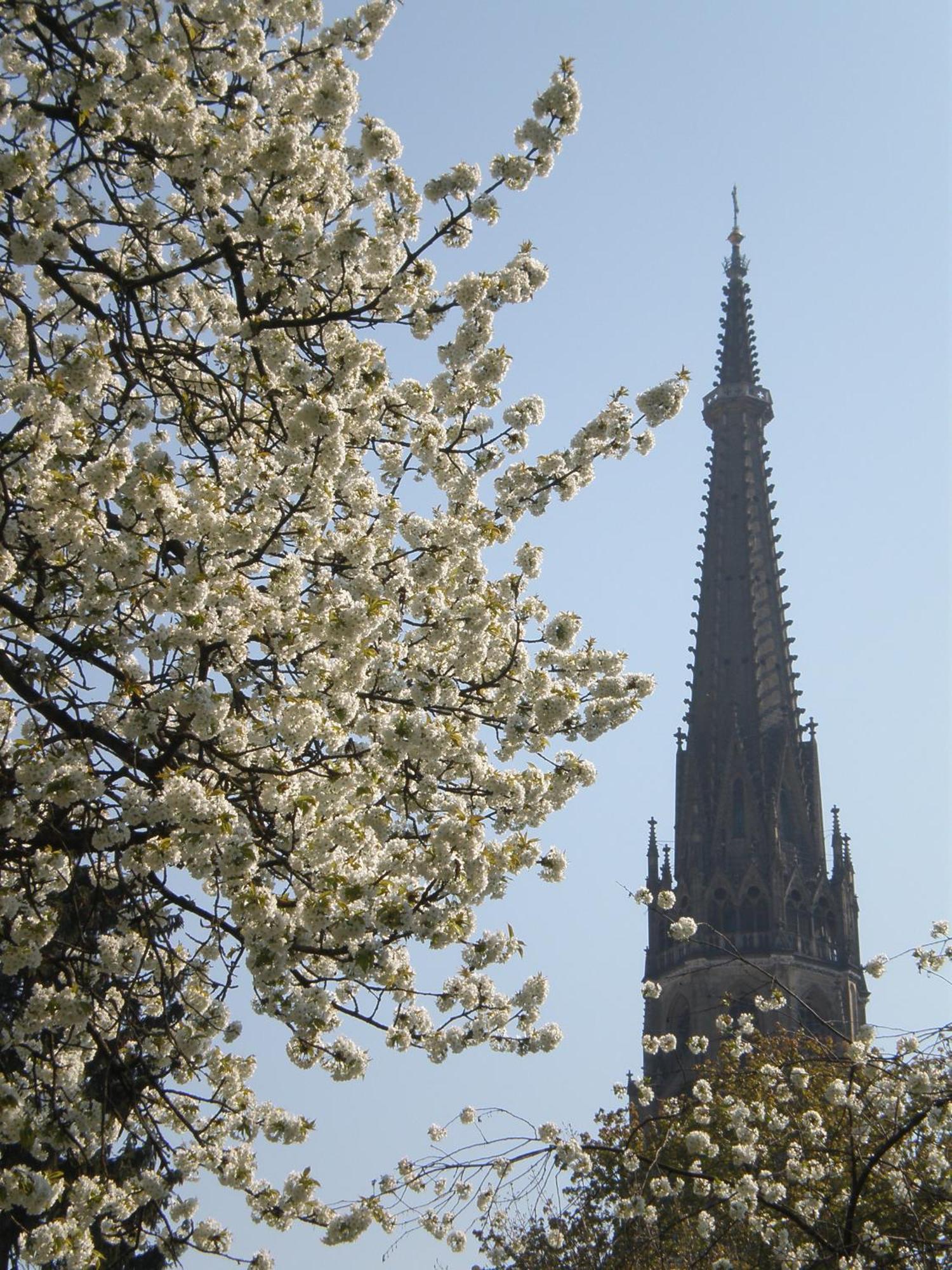 Dom Hotel Linz Eksteriør bilde